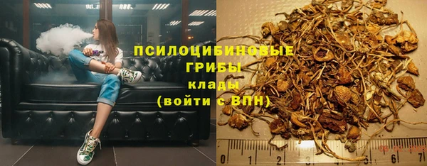 марки lsd Абаза