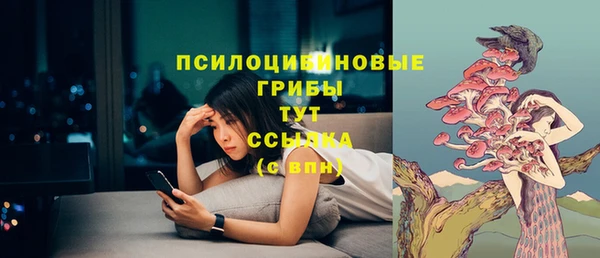 марки lsd Абаза