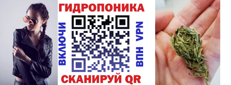 Канабис OG Kush  Ладушкин 